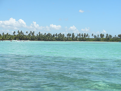 Dominikanske Republik, Caraibien, havet, natur, blå, vand, Palms