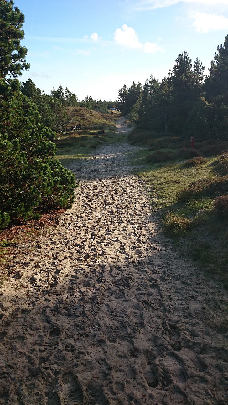 sand, away, path, hiking, nature, footprints, landscape