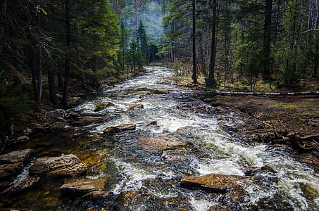 Фотографія, Річка, гірські породи, ліс, дерево, води, кам'яні каменю