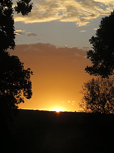 naplemente, sziluettjét, Dél-Afrika, narancs, fák