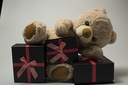 niños, oso de peluche, felpa, regalos