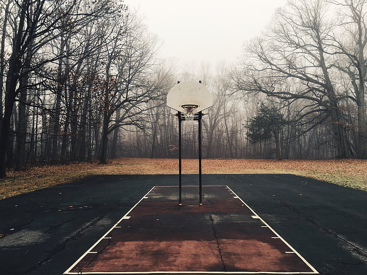 basketball court, empty, fog, foggy, forest, park, trees