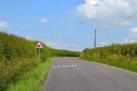 road, slowly, line, shield, cow, nature, blue