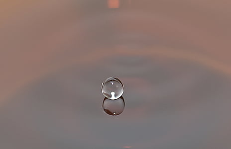 water, drop, liquid, round, reflexion, reflection, nature