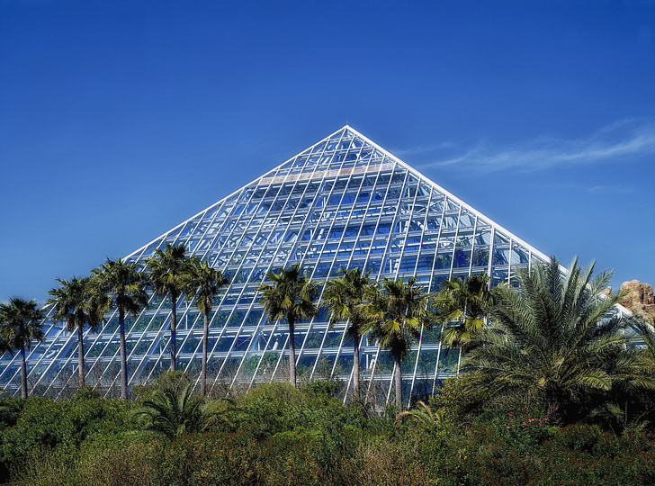 Galveston, Texas, Moody gardens, palme, architettura, Piramide, punto di riferimento