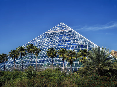 Galveston, Texas, hangulatos kert, pálmafák, építészet, piramis, Landmark