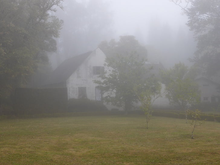 fog, mood, home, leave, mystical, gespentisch, lonely