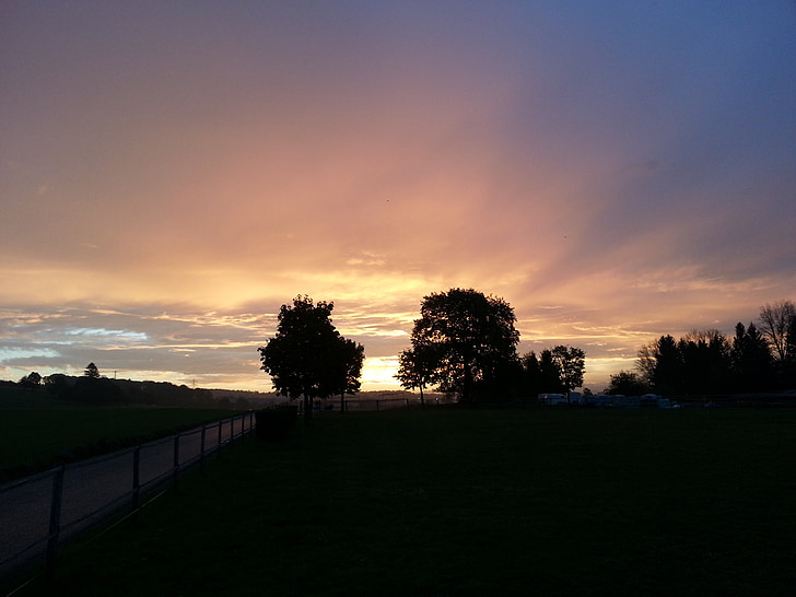 morgenstimmung, trees, clouds, sunset