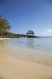 beach, hut, palm, palmtree, coast, shore, blue