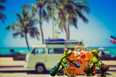 Urlaub, Gepäck, Palmen, Strand, Frosch, lustig, niedlich