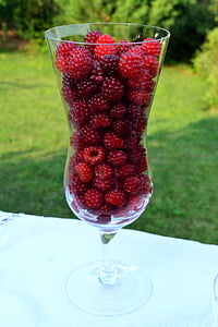 Raspberry, makanan penutup, buah, Berry, merah, segar, lezat