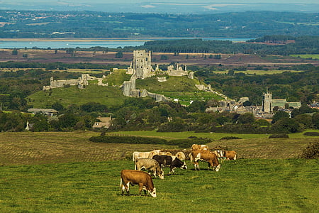 corfe dvorac, spomenik, Panorama