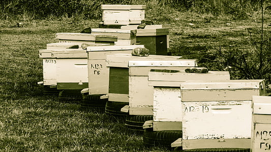 košnica, košnica, Pčelarstvo, Pčelarstvo, pčelinjak, Poljoprivreda, tradicionalni