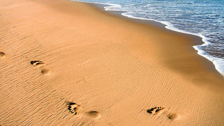 beach, sand, ocean, footprints, person, walking, sea