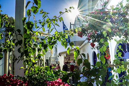 Oia, Santorin, Grèce, fleurs, étoile de soleil, Sky, architecture