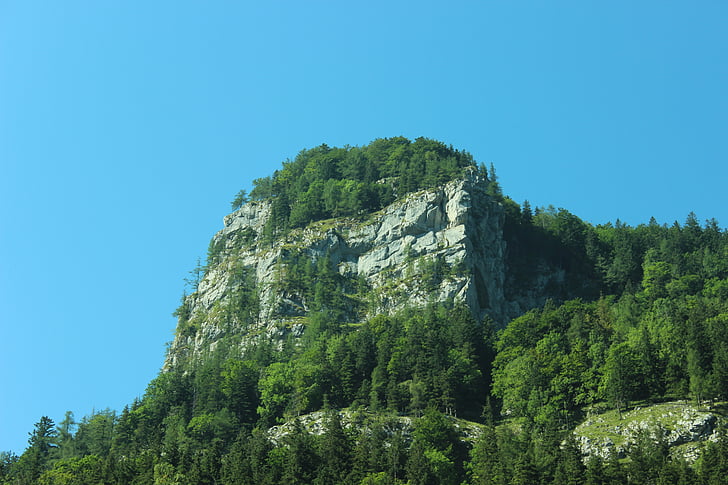 roccia, foresta, montagna, pietre, natura, alberi, montagne