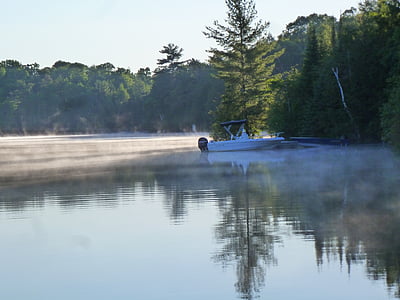 lake, mist, calm, boat, morning, forest, pine