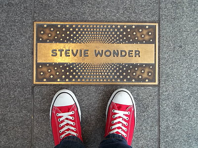 plaque, apollo theater, shoes, singer, stevie wonder