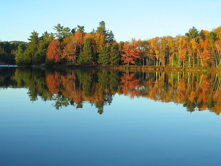 ežeras, rudenį, spalvos, atspindys, rudenį, lapija, miško