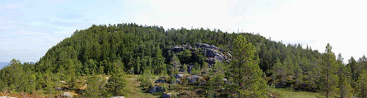 panorama, norway, trondheim, bymarka, mountains, mountain landscape, growth