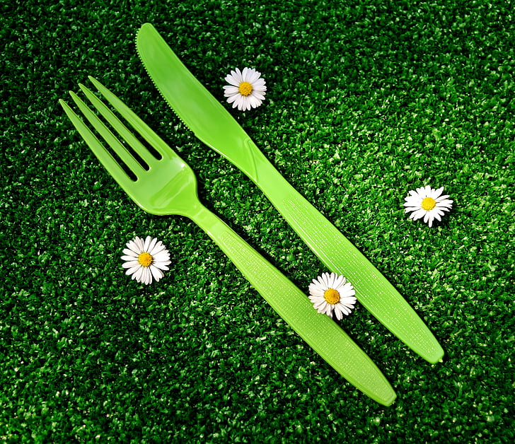 pícnic, coberts, plàstic, una manera, ganivet, forquilla, l'estiu
