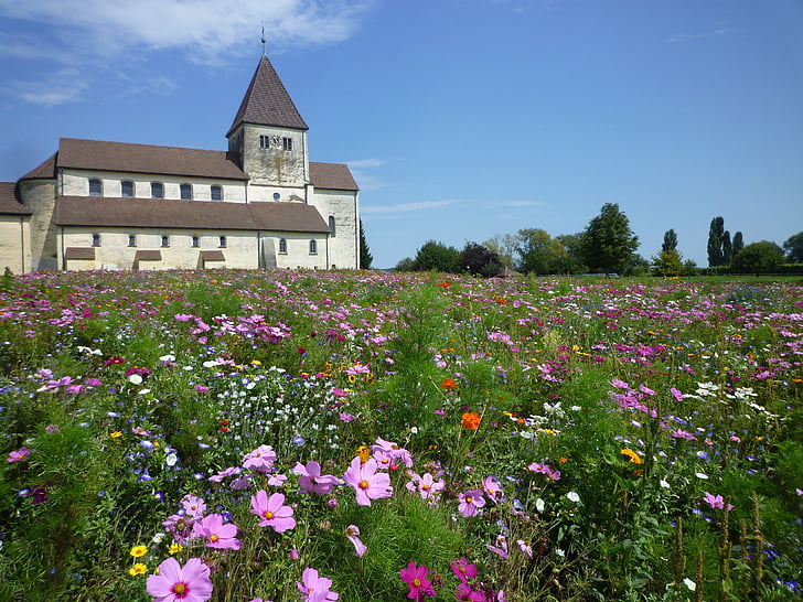 Церква, монастир, Природа, квіти, Луговий, цвітіння, blütenmeer