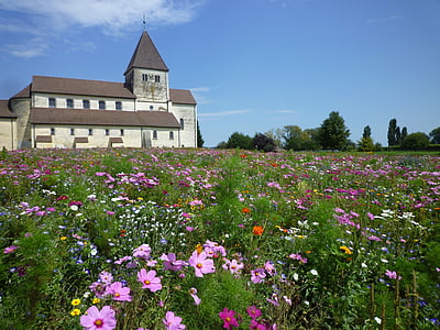 kerk, klooster, natuur, bloemen, weide, Bloom, blütenmeer