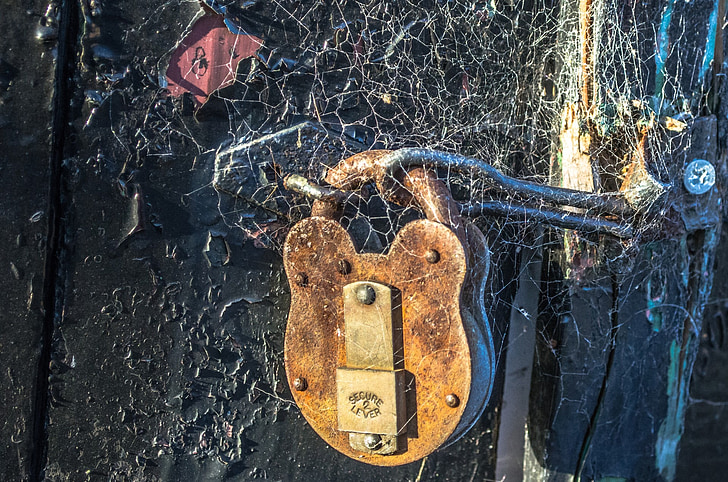 padlock, gate, locked, private, close-up, rusty, cobweb