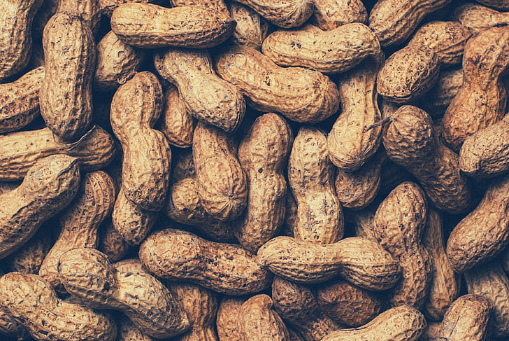 food, healthy, nuts, peanuts, shell, snack, backgrounds