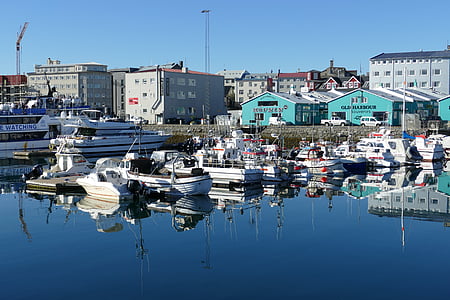 Island, Reykjavik, kyrkan, hamn, fartyg, Boot, Panorama