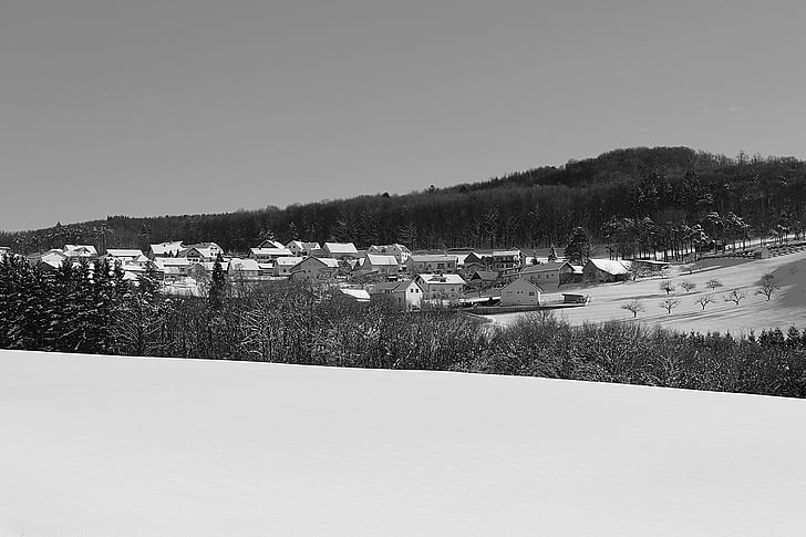 hivernal, paisatge de neu, estat d'ànim d'hivern, cobert de neu, blanc i negre