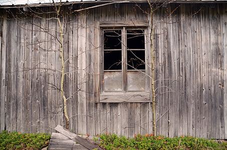 Дом, сарай, окно, страна, Швеция, Лето, сельской местности