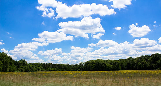 nebo, farma, oblaci, polje, Poljoprivreda, ruralni, priroda