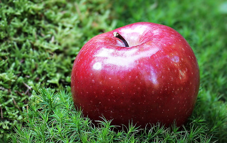 Apple, Rode appel, rode chief, rood, fruit, Frisch, vitaminen