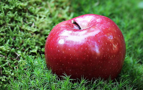 Apple, rött äpple, röd chief, röd, frukt, Frisch, vitaminer