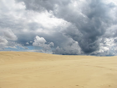 port, Stephens, Australie, sable, dune, paysage, nature