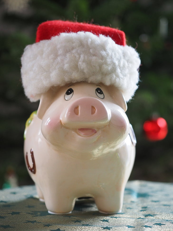 Banca di risparmio, risparmio di Natale, maiale, maiale fortunato, fortuna, divertente, soldi