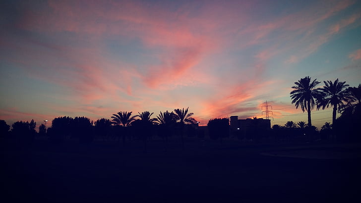 pilved, Palm puud, maaliline, roosa, Sunset, siluett, loodus