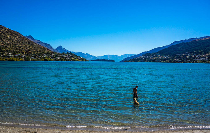 Parque de la paz, Lago wapatiku, Queenstown, Nueva Zelanda, perro, montañas, naturaleza