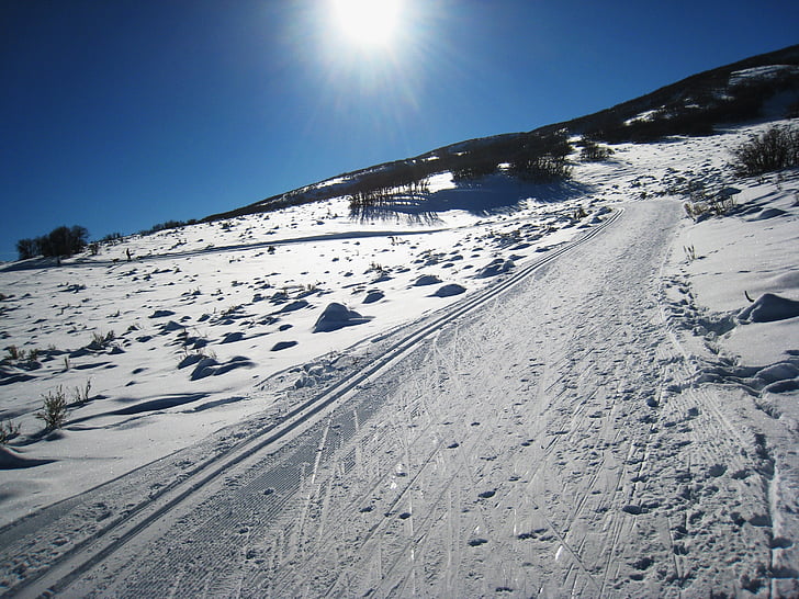Sunshine, haute, montagne, ski, sentier, colline, hiver