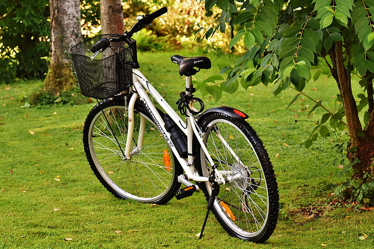 bicicleta, ciclo de, roda, andar de bicicleta, desporto, veículo de duas rodas, saudável