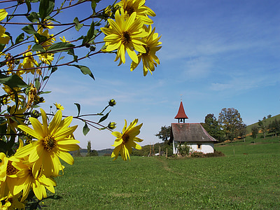 Topinambur, Helianthus tuberosus, Herbstblumen, Kapelle, Sonnenblume, Landschaft, Schwarzwald