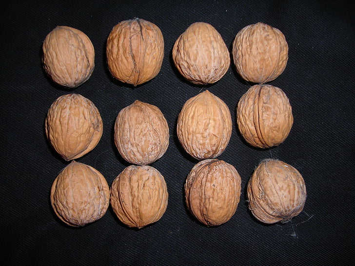 pähklid, Kreeka pähklid, nupud, põrgu, pruun
