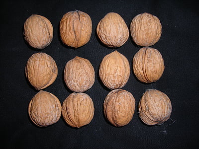 noten, walnoten, knoppen, hel, bruin