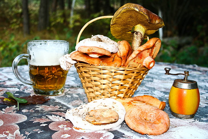 setas, cerveza, tabla, naturaleza muerta, bosque