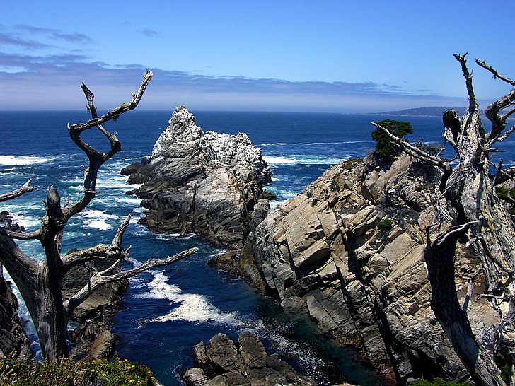 Point lobos, California, sziklák, óceán, tenger, tengerpart