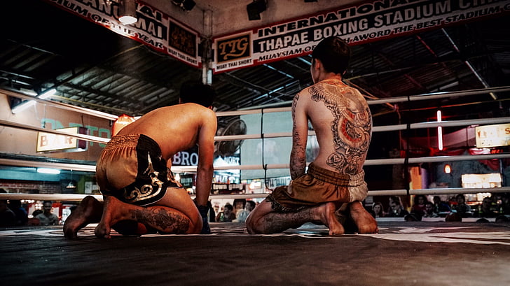 Boxeo, lucha contra el, combatientes de la, anillo, sin camisa, fuerza, deporte