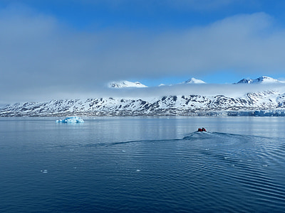 Svalbard, dyrekretsen, Arktis, fortsatt, ensom, lys, isen