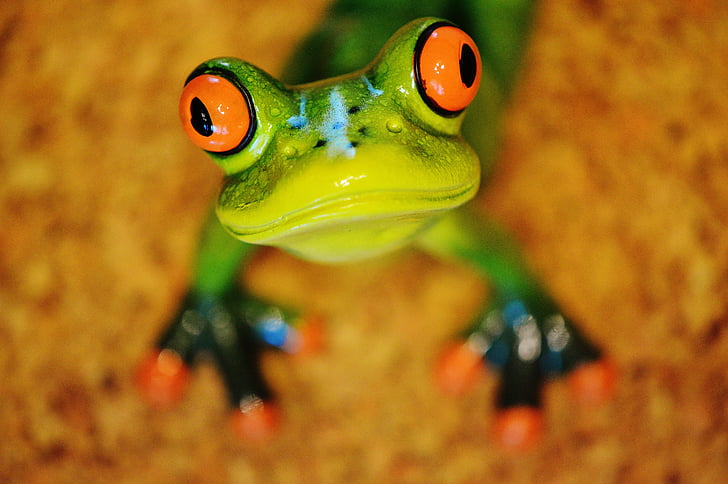 žaba, zabavno, Slika, srčkano, keramični, zabavno, žabe