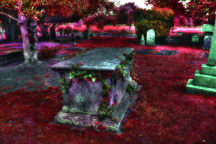 kerkhof, begraafplaats, graf, Halloween, eng, horror, nacht